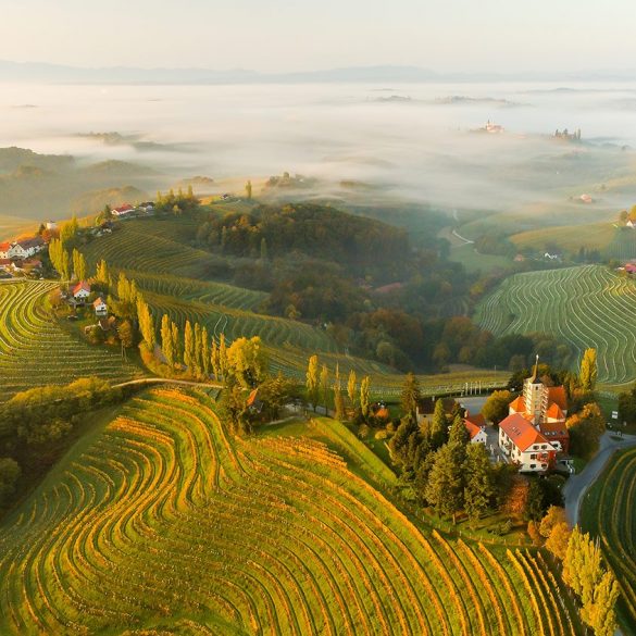 You Ought to Attempt This Round-the-world Winery-hopping Journey by Personal Jet