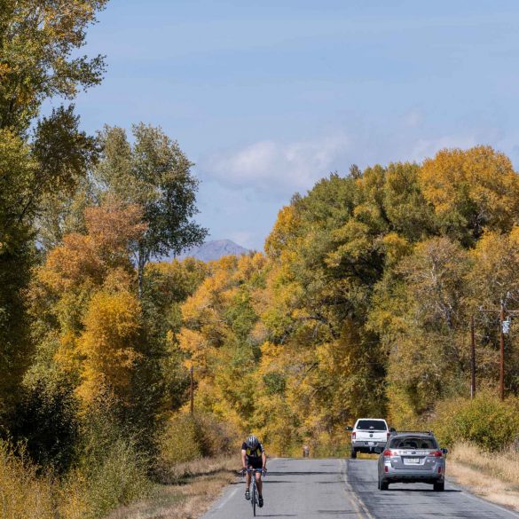 Street Tripping By Colorado for Fall Colours and Curved Aspens