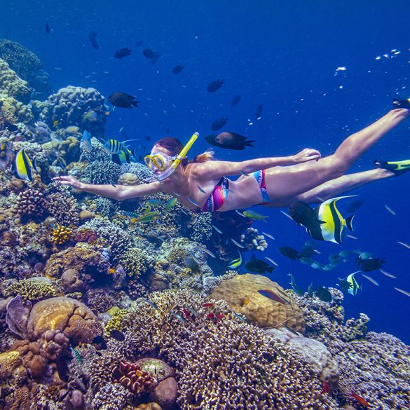 Prime Issues to Pack for Your Subsequent Snorkeling Journey