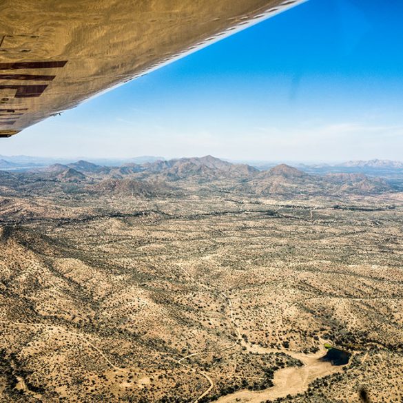 A Journey Via Namibia’s Wildlife and Landscapes