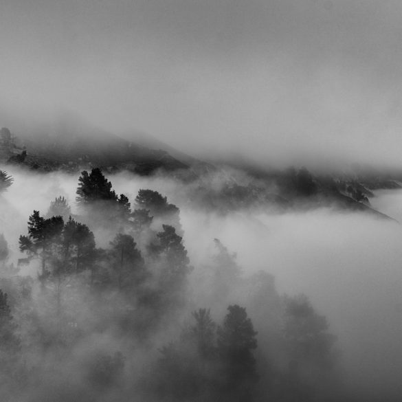 Large Sur California in Black and White