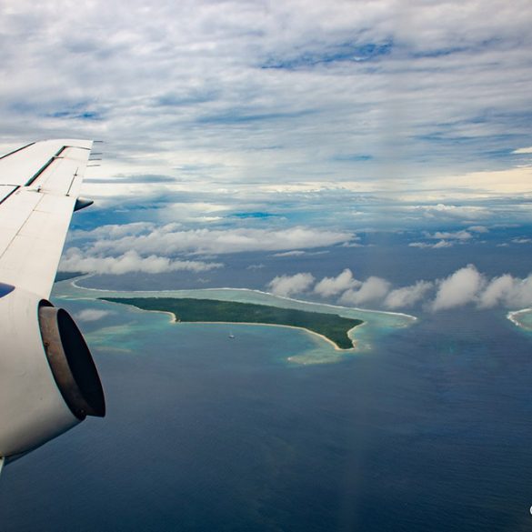 A New Perspective: Swimming With Humpbacks within the South Pacific